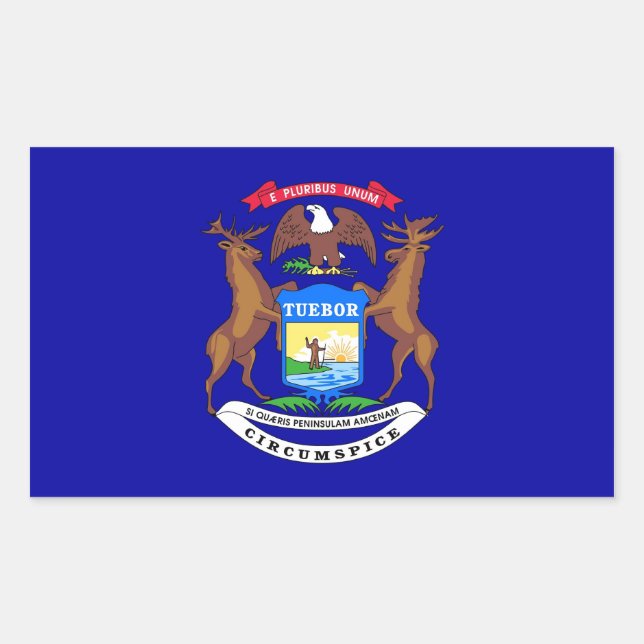 Rectangular Rectangle pegatina con Bandera de Michigan, EE.UU. (Anverso)
