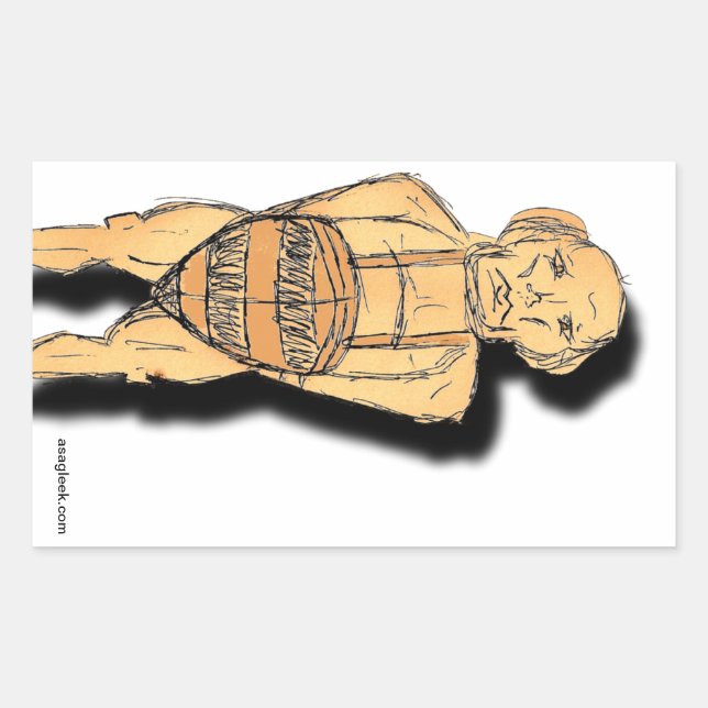 Rectangular Shy Guy Pegatina (Anverso)