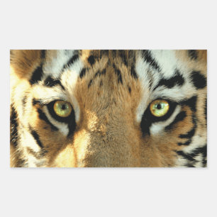 Rectangular Tigre 1 - Pegatina