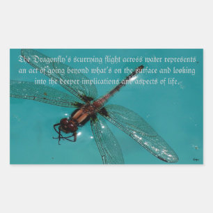 Rectangular Un Pegatina de Dragonflies Life 2