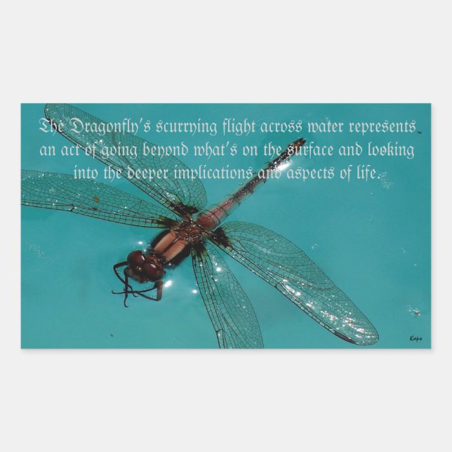 Rectangular Un Pegatina de Dragonflies Life 2 (Anverso)
