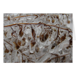 Recubrimiento de hielo