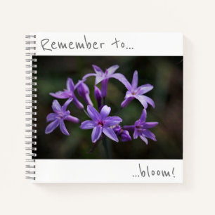 Recuerda florecer Cuaderno de flores azules púrpur