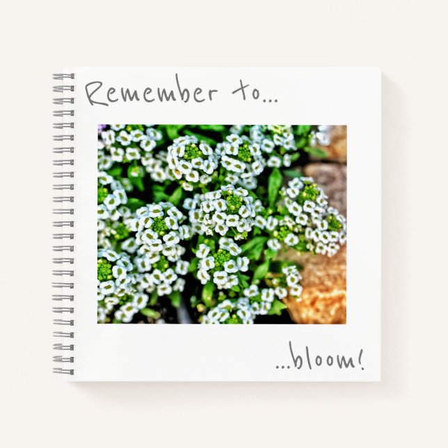 Recuerda florecer Cuaderno de flores blancas peque (Anverso)