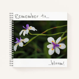 Recuerda florecer Cuaderno de flores de lirio silv