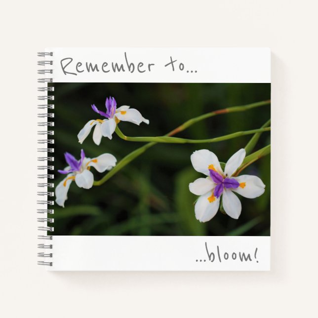 Recuerda florecer Cuaderno de flores de lirio silv (Anverso)