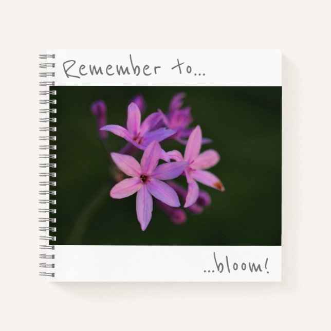 Recuerda florecer Cuaderno de Flores Moradas (Anverso)