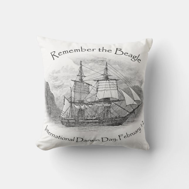 Recuerde la almohada del cuadrado del beagle (Anverso)
