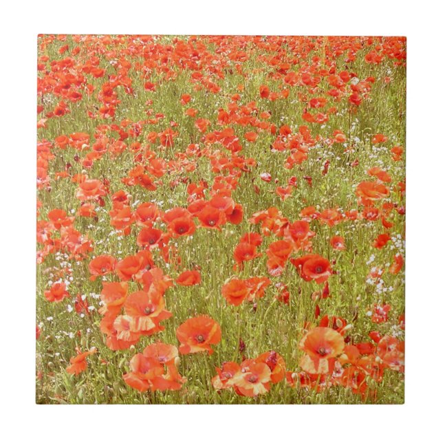 RECUÉRDEME TEJA (Frente)