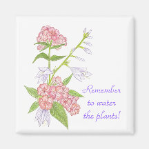 Recuerden regar el imán de las plantas