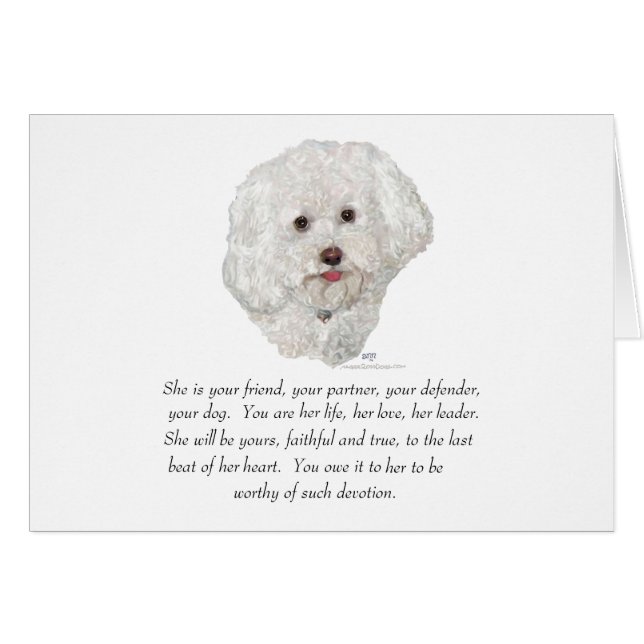 Recuerdo de Bichon Frise HEMBRA (Anverso (Horizontal))