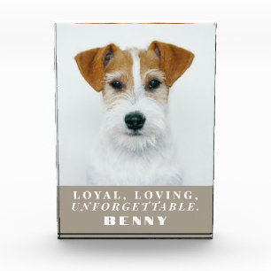 Recuerdo de foto de memorial de mascota personaliz