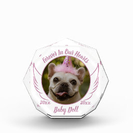 Recuerdo del mascota Nombre de la foto Fecha Regal