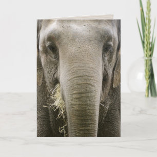 "Recuerdo" tarjeta de felicitación