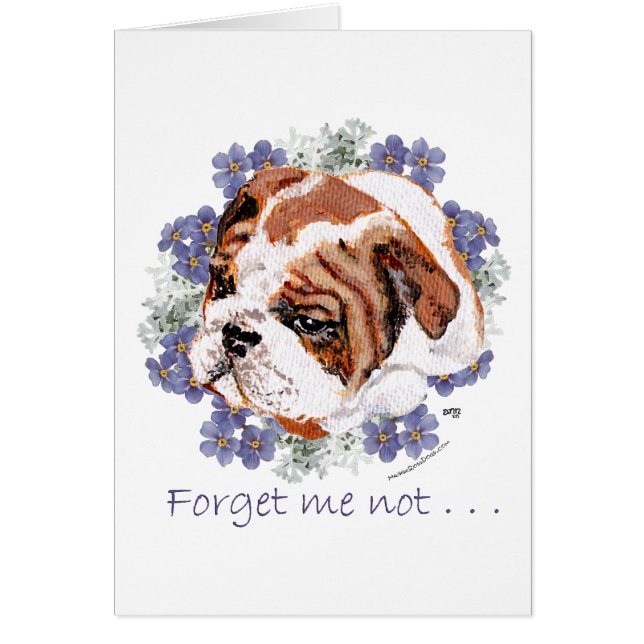 Recuerdos de Bulldog Inglés (Frente)