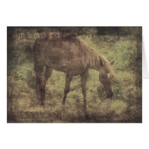 Recuerdos de caballos Grunge