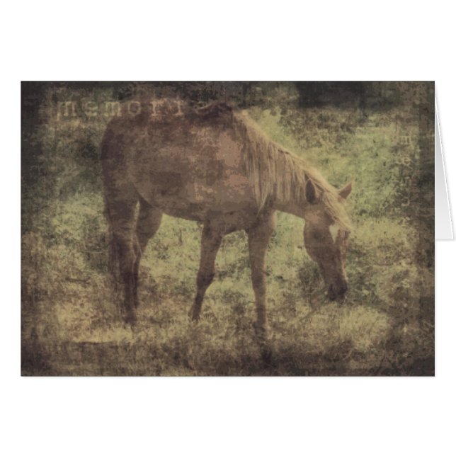 Recuerdos de caballos Grunge (Anverso (Horizontal))