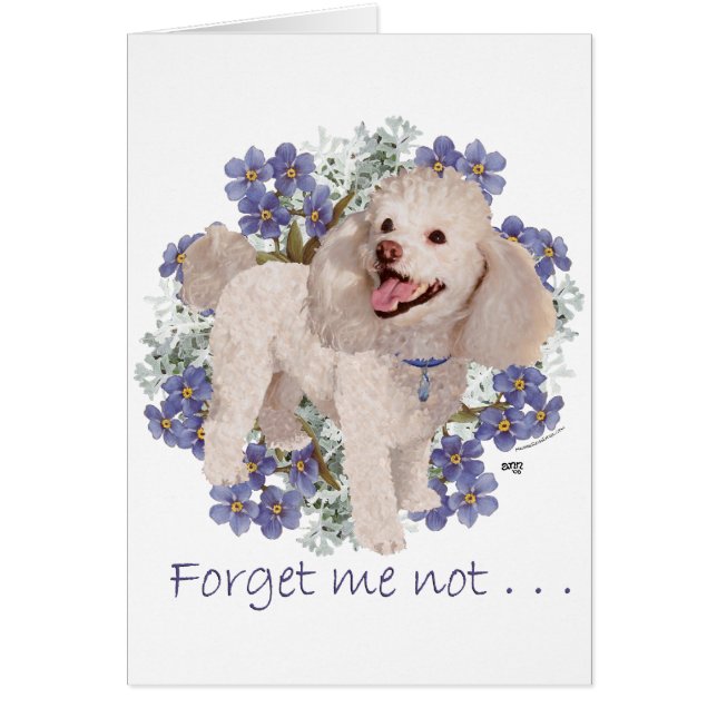 Recuerdos de canapé (Frente)