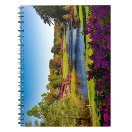Recuerdos en movimiento: Un cuaderno fotográfico e