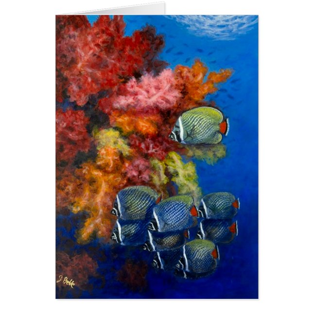 Reculated BBF con los corales suaves (Frente)