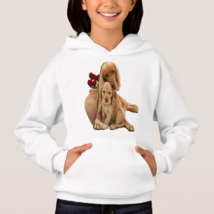 Recuperador de Labrador