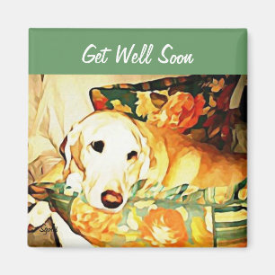 Recuperador de Labrador se pone bien imán