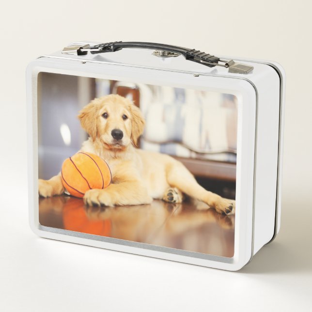 Recuperador de oro con juguete de baloncesto (Reverso)