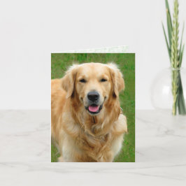 Recuperador de oro: tarjeta de simpatía del perro