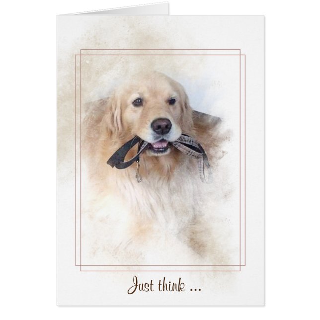 recuperador dorado con correa en la boca (Frente)