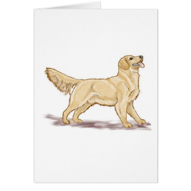 Recuperadores dorados (Frente)