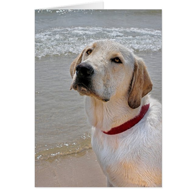 Recuperando romance (Frente)