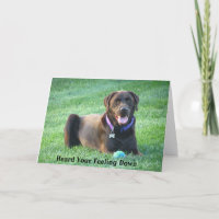 Recuperar tarjeta de saludo de Labrador