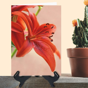 Recupérate pronto naranja Tigre Lily plantilla de
