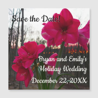 Red Amaryllis y Winter Sunrise salvan la fecha