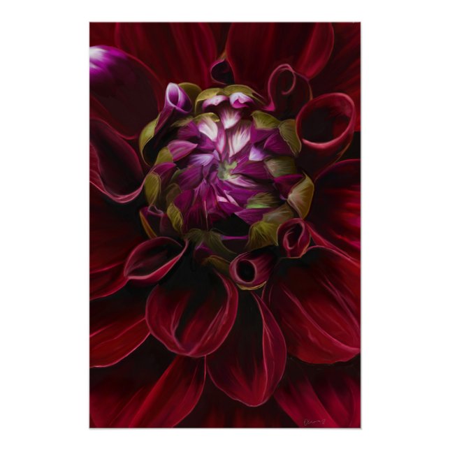 Red Dahlia Poster (Anverso)