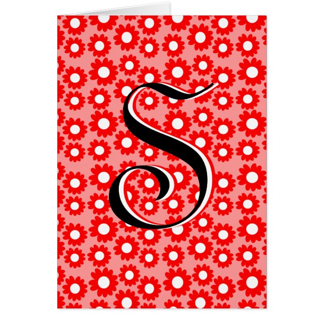 Red Daisies (Frente)