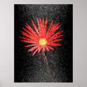 Red Daisy sobre fondo negro   Arte abstracto