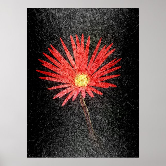 Red Daisy sobre fondo negro | Arte abstracto (Frente)
