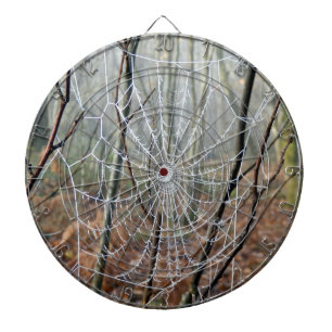 Red de tablero de araña de jardín europeo