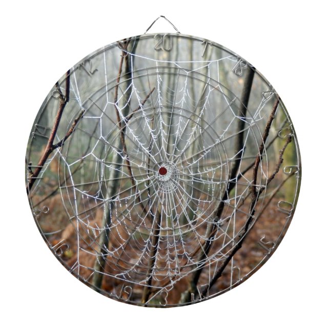 Red de tablero de araña de jardín europeo (Frente)
