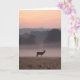 Red Deer Stag al amanecer - Tarjeta de saludo (Orchid)