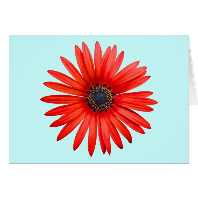 Red Devil (Anverso (Horizontal))