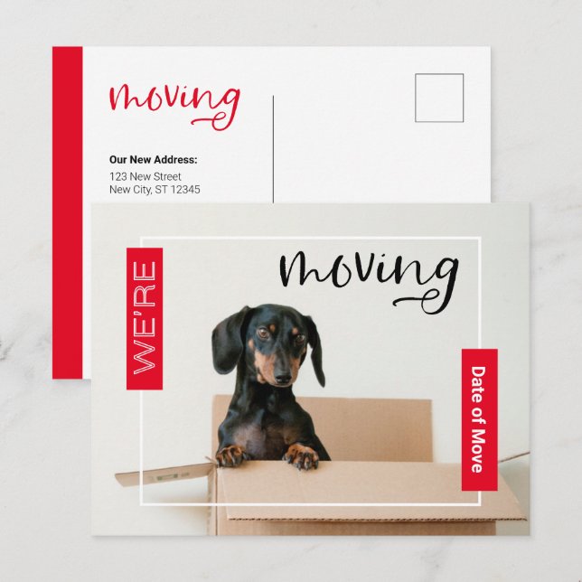 Red Estamos mudando a perro de Dachshund en postal (Anverso / Reverso)