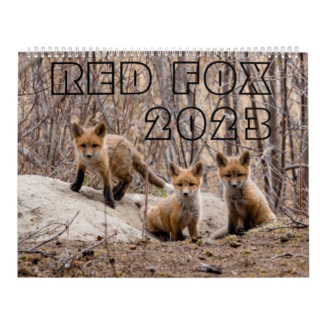 Red Fox 2023 - Calendario (Tapa)