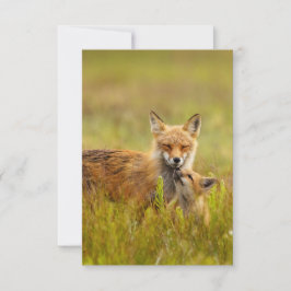 Red Fox Kit busca tarjeta de saludo de mamá