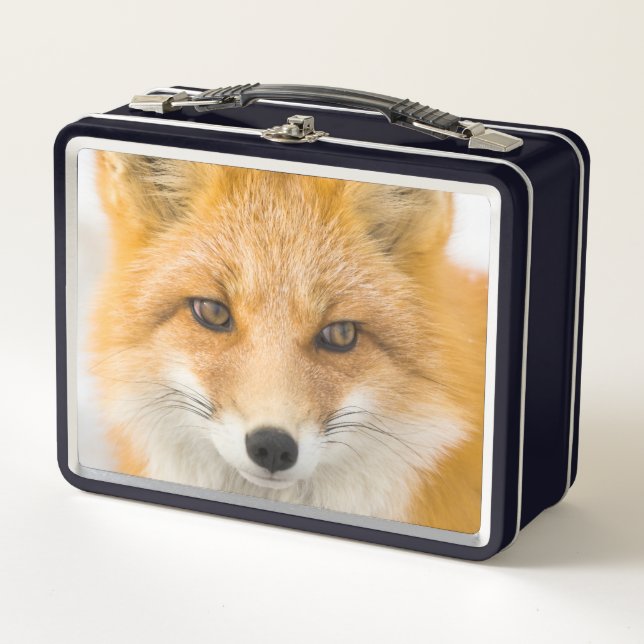 Red Fox Portrait (Anverso)