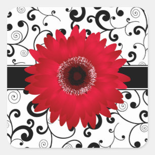 Red Gerbera Daisy con sello de diseño de pergamino