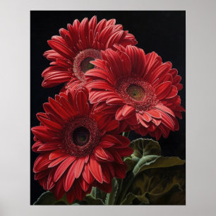 Red Gerbera Daisy Flowers Poster de impresión de a