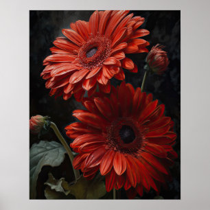 Red Gerbera Daisy Flowers Poster de impresión de a