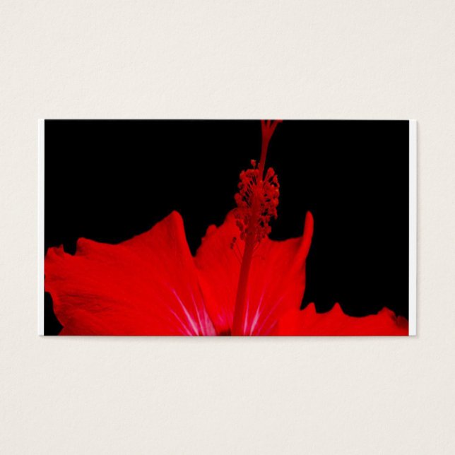 Red Hibiscus (Frente)